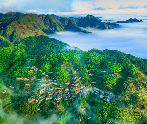 博星配资 文博名家看松阳 | 张岚：坐看白云天际飞——松阳行