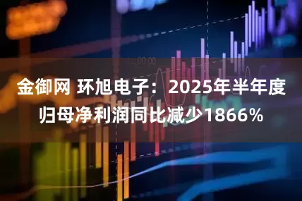 金御网 环旭电子：2025年半年度归母净利润同比减少1866%